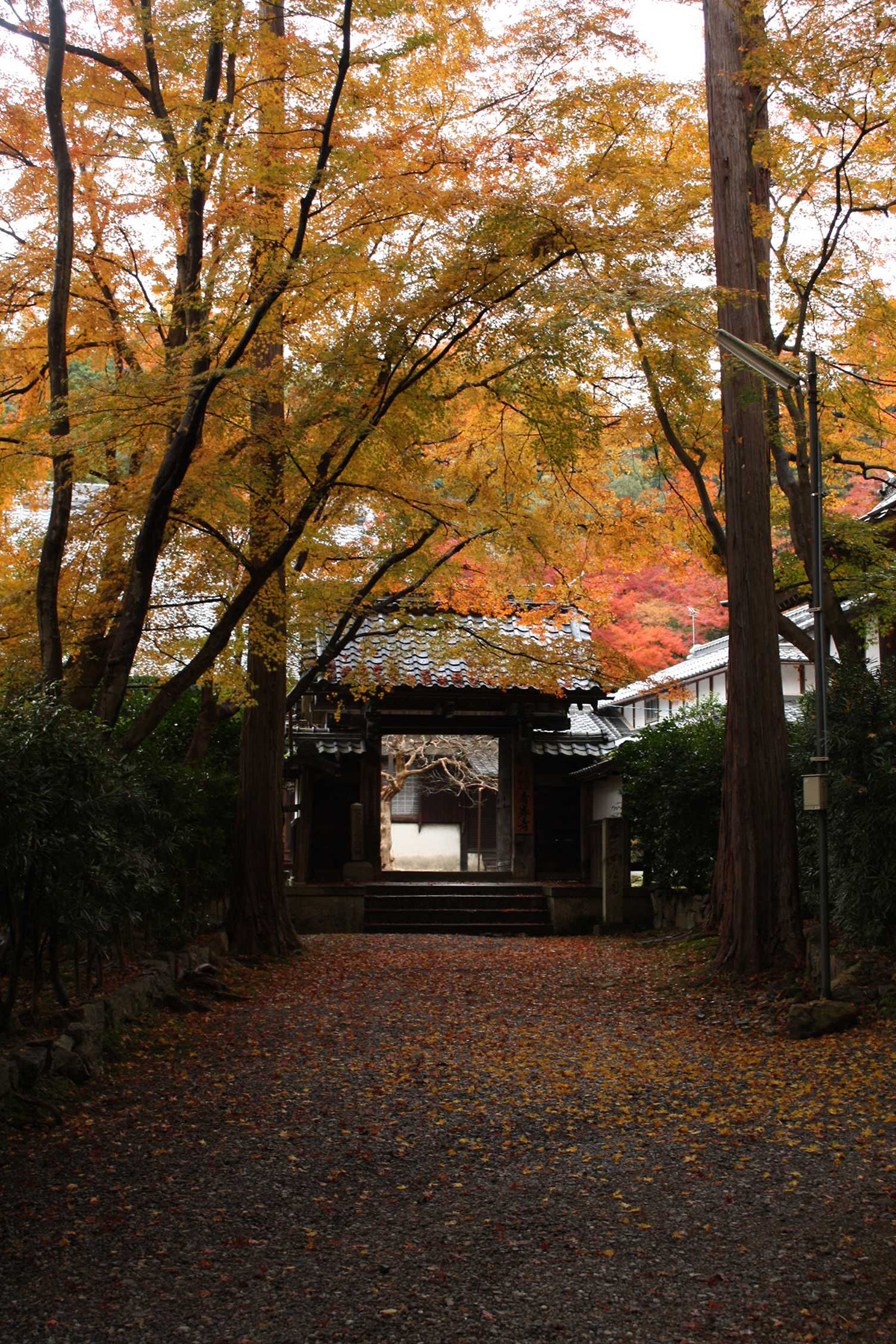 青岸寺"