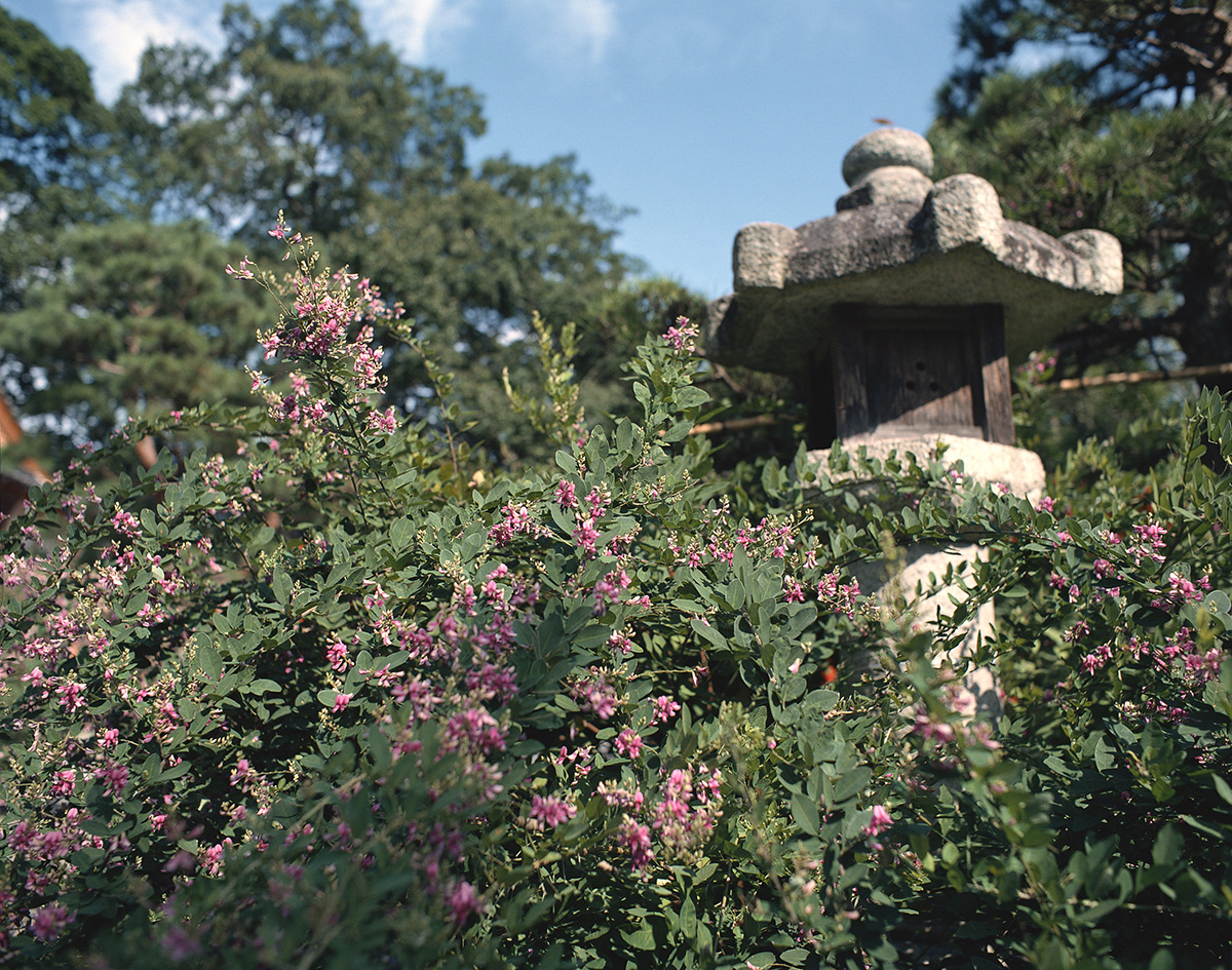 
神照寺