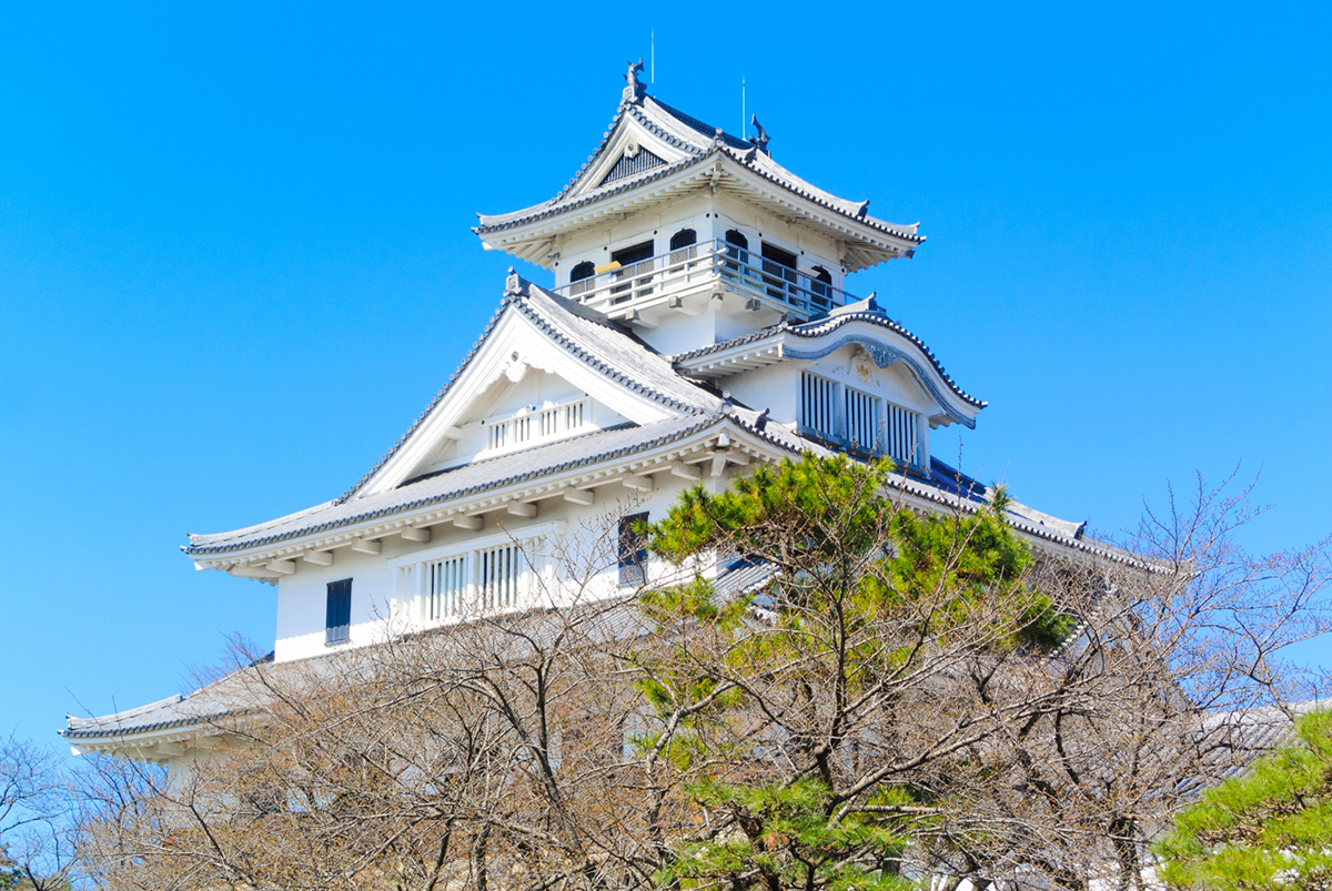 長浜城