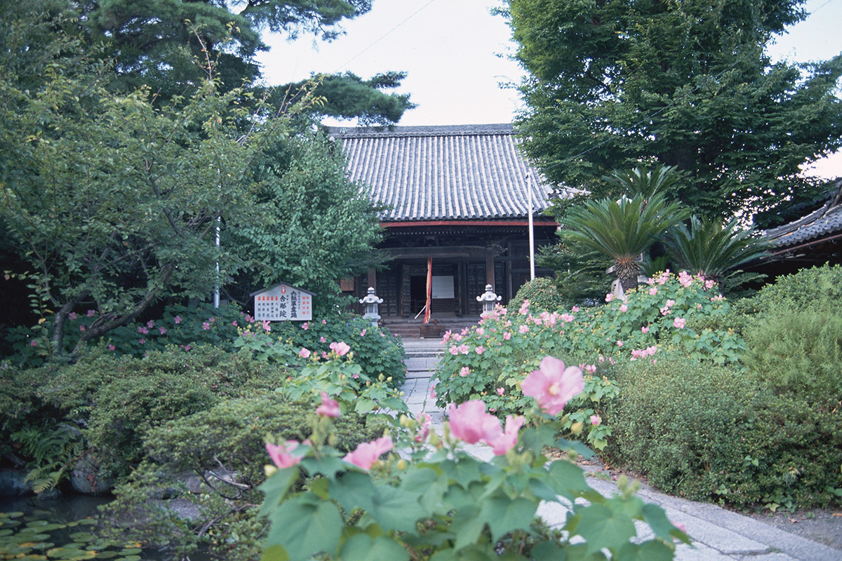 
舎那院