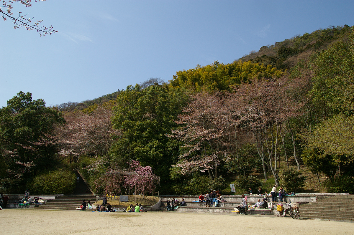 八幡公園