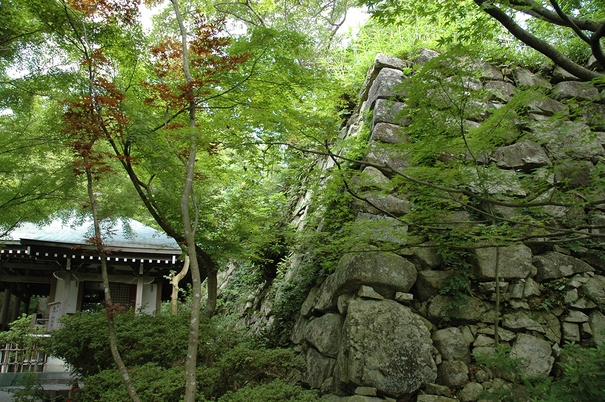 八幡山城跡