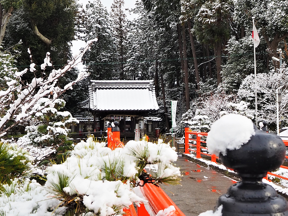 菌神社